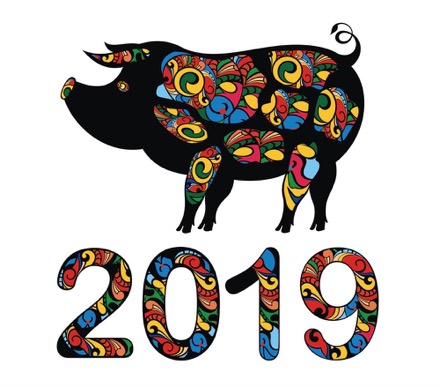 the-year-of-pig-2019-vector-21184118